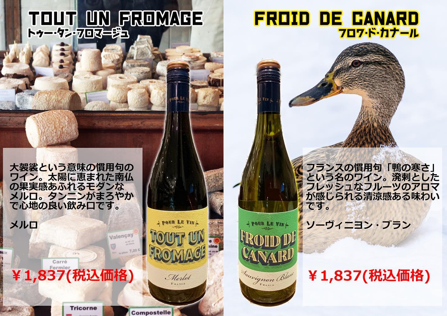 新入荷ワイン