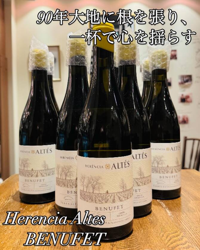 ベヌフェト ベヌフェト